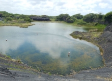 Imagen Poza de Flamingos - Isabela